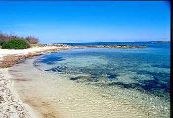 La Puglia on the road - 52