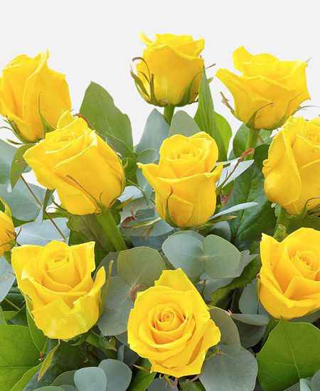 Bouquet: i fiori di giugno - 16