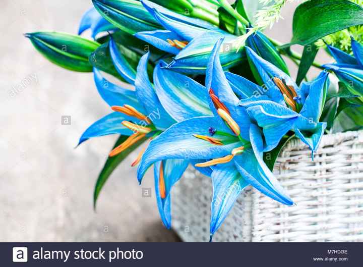 Bouquet: i fiori di giugno - 65