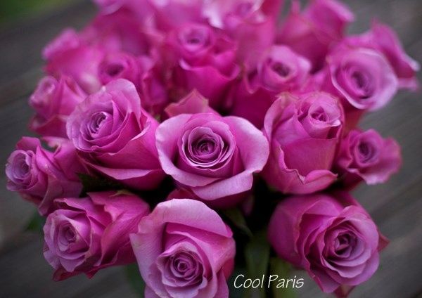 bouquet rose cool paris