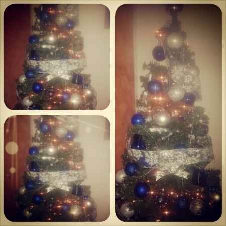 Pubblichiamo la foto dei nostri alberi!! ;) - 2