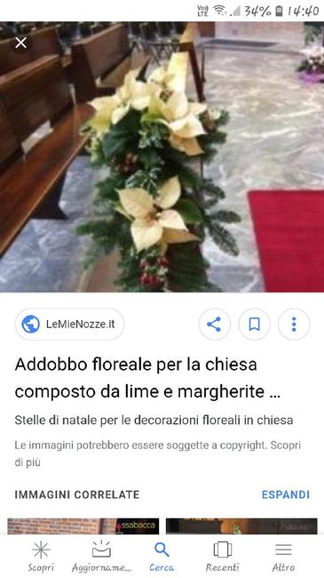 Allestimento natalizio (no rosso) - 1