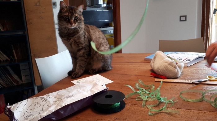 Collaboratori pelosi ❤️ - 1