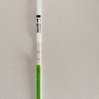 Per chi non le aspetta per febbraio 2020 - 1