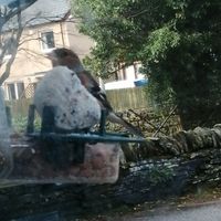 Ci facciamo compagnia? - 1