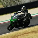 Stefano