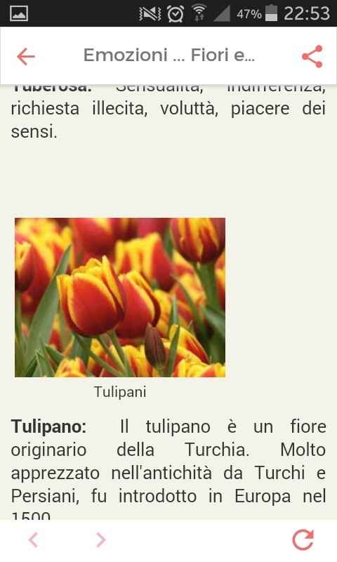 Fiori di settembre.... - 1