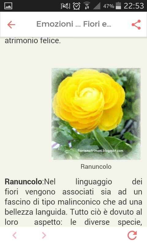 Fiori di settembre.... - 2