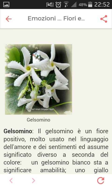 Fiori di settembre.... - 4