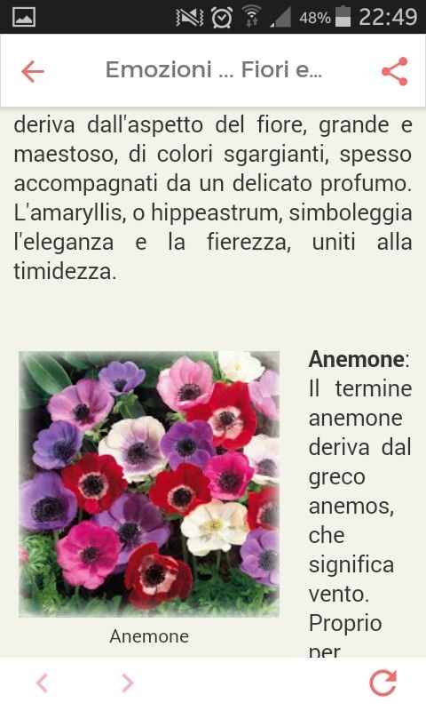Fiori di settembre.... - 5