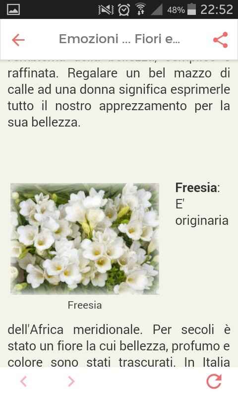 Fiori di settembre.... - 6