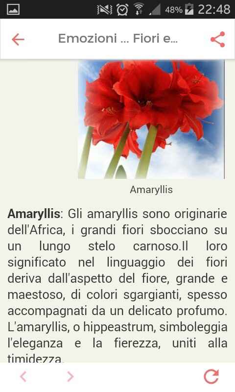 Fiori di settembre.... - 7