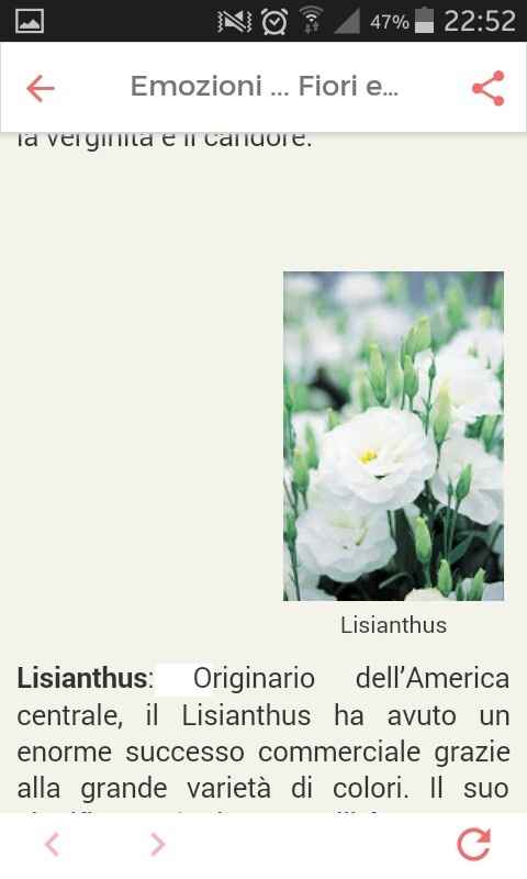 Ortensie e peonie - 1