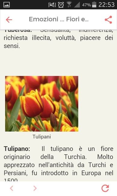 Fiori di settembre.... - 1