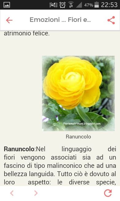 Fiori di settembre.... - 2