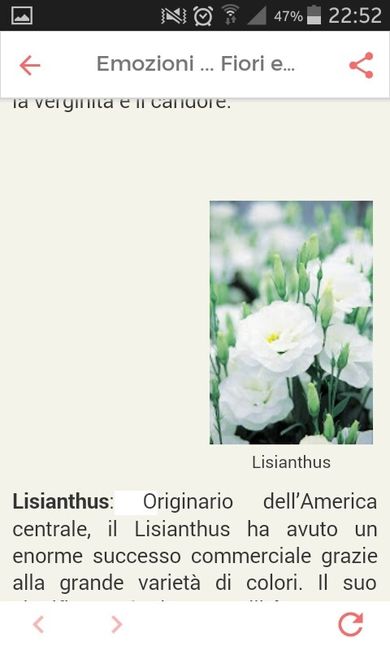 Fiori di settembre.... - 3