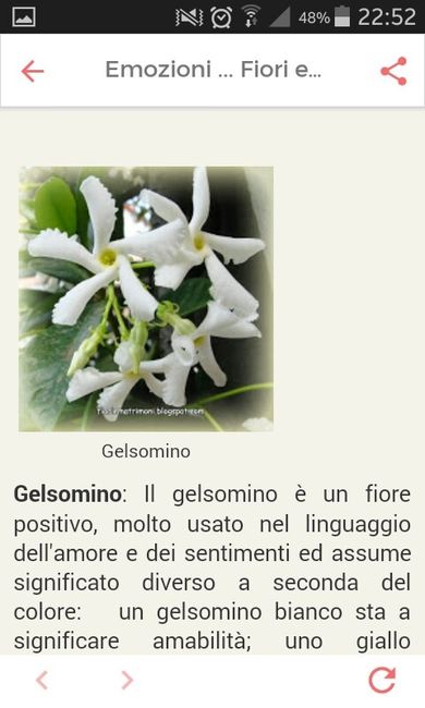 Fiori di settembre.... - 4