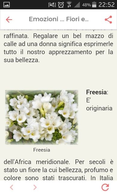 Fiori di settembre.... - 6