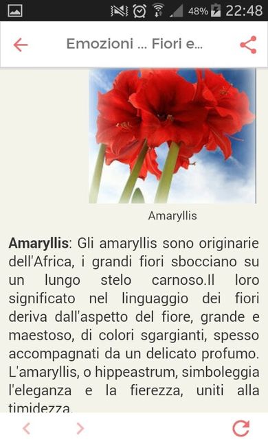 Fiori di settembre.... - 7