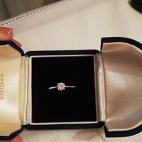 Quanti anelli sotto l'albero! - 1