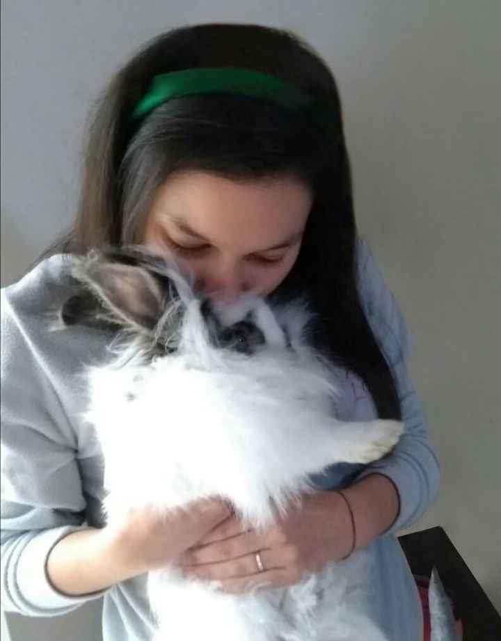 i nostri amici pelosi nel giorno delle nozze ❤️😍🐺🐱 12