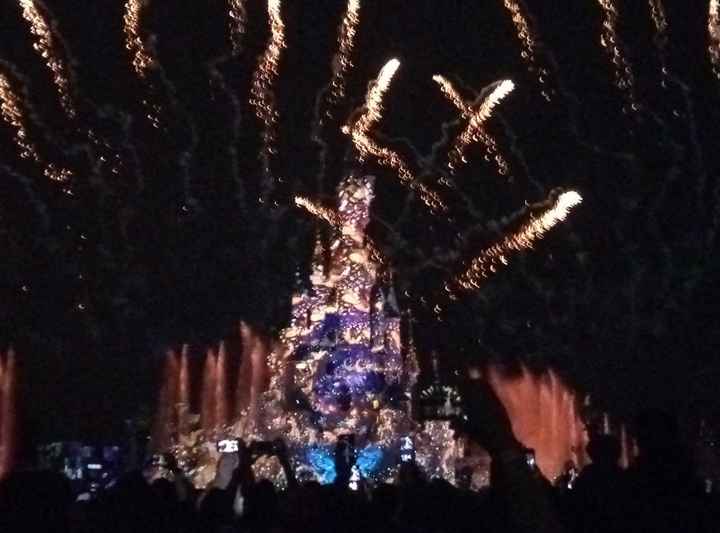 Proposta di matrimonio a Disneyland 😻 2