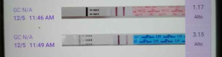 Chi non le aspetta per maggio 2024 🌹💛 - 2