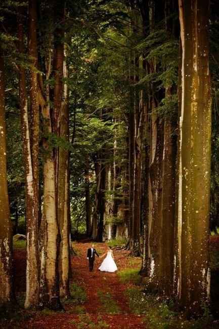 MYWEDDING