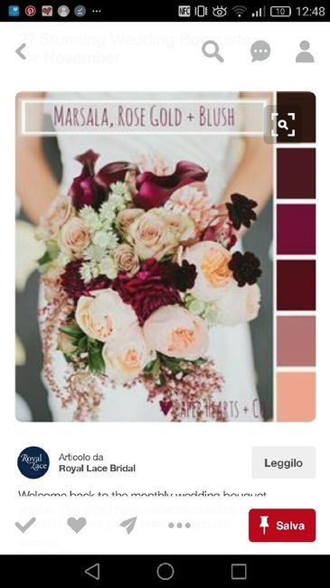 Ansiaaaaa colore bordeaux - 1