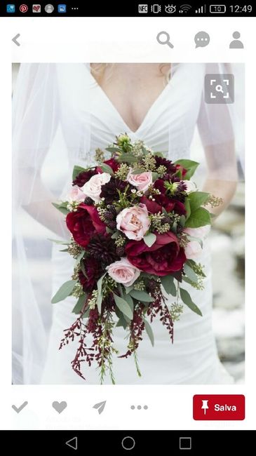 Ansiaaaaa colore bordeaux - 2