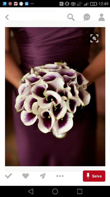 Ansiaaaaa colore bordeaux - 4