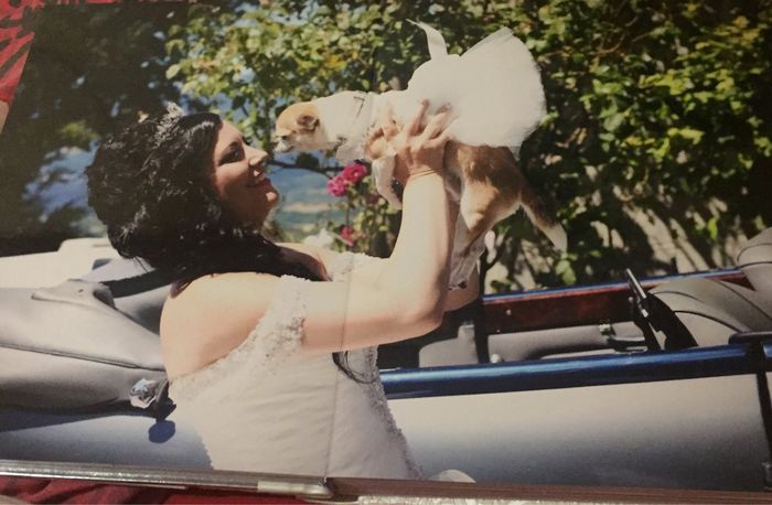 Album matrimonio vi piace ? - 9