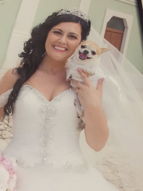 Album matrimonio vi piace ? - 22