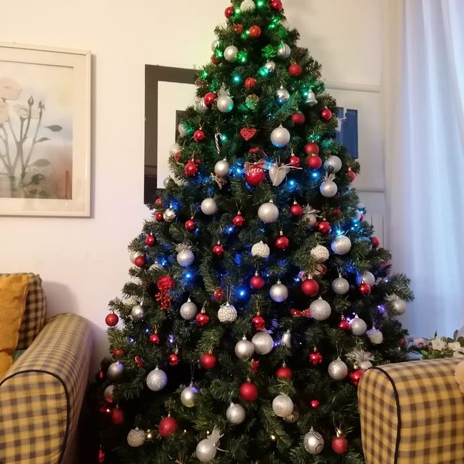 Avete mai fatto l'albero insieme? 4