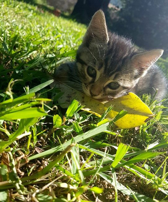 Felicemente sposati 20-05-2018 - 13