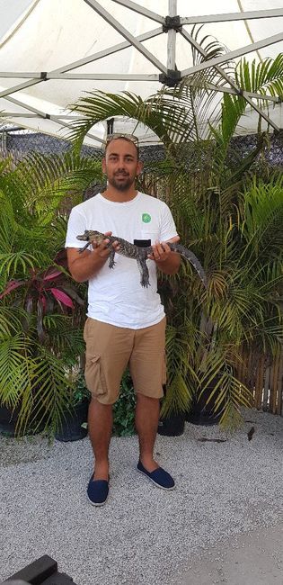 Bahamas+miami... meraviglioso - 10