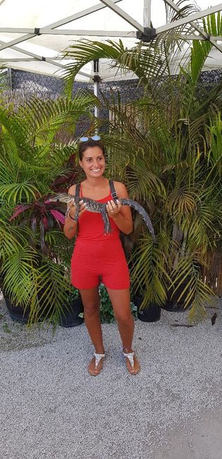 Bahamas+miami... meraviglioso - 11