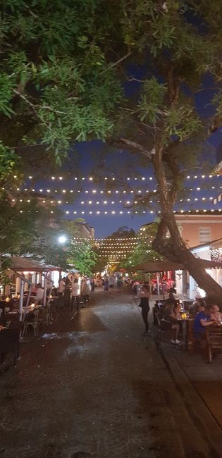 Bahamas+miami... meraviglioso - 14