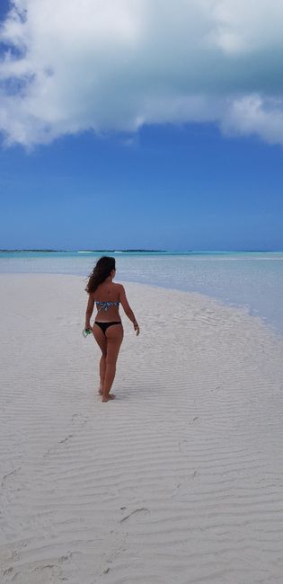 Bahamas+miami... meraviglioso - 18