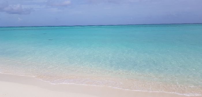 Bahamas+miami... meraviglioso - 19