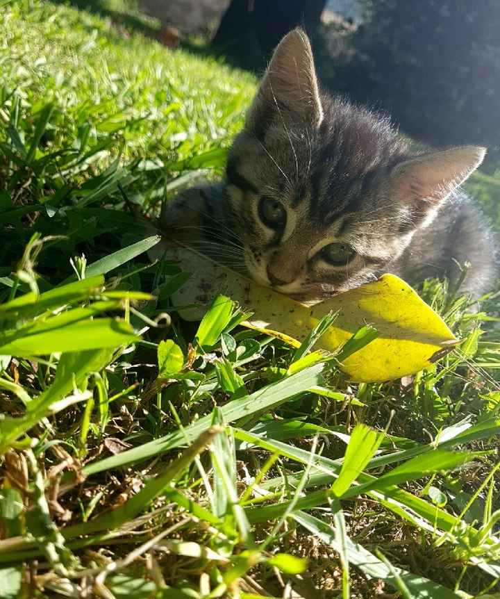 Felicemente sposati 20-05-2018 - 13