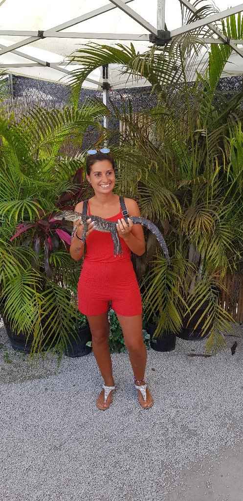 Bahamas+miami... meraviglioso - 11