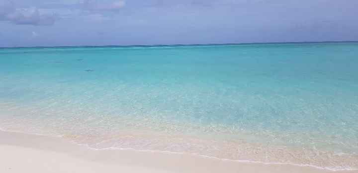 Bahamas+miami... meraviglioso - 19