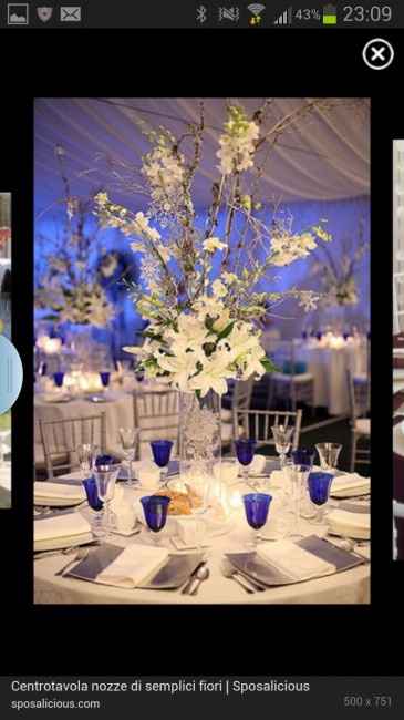 Colore del matrimonio - 1