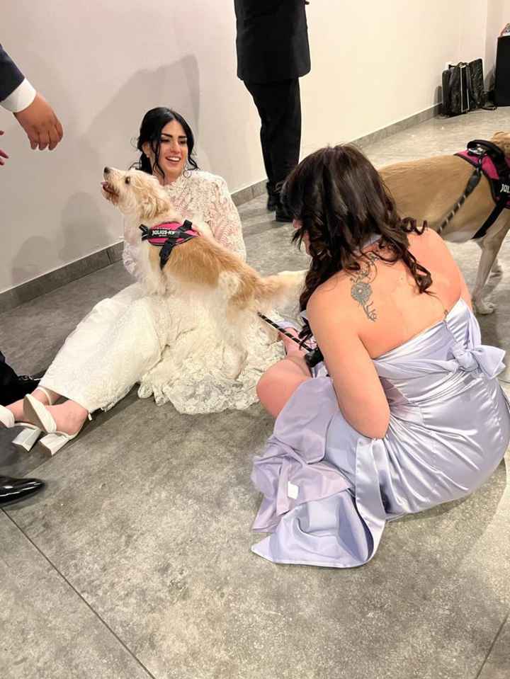 Alcuni scatti del nostro matrimonio 19/05/23 - 3