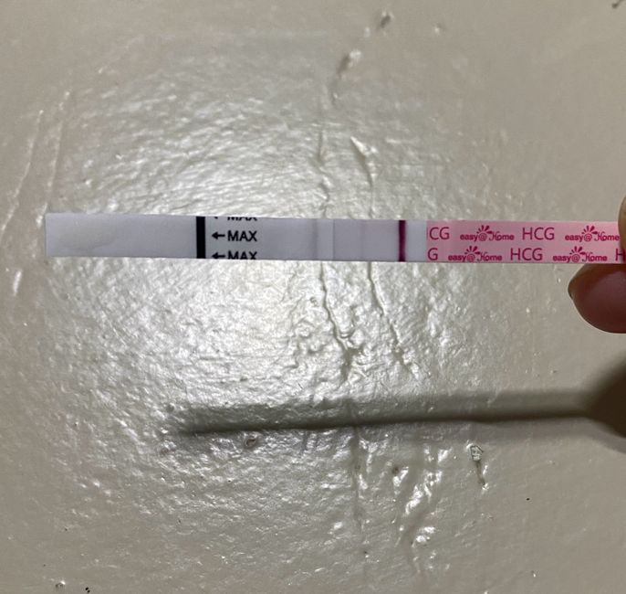 Chi non le aspetta per Dicembre 2023 😬🎁🎄❄️ - 1