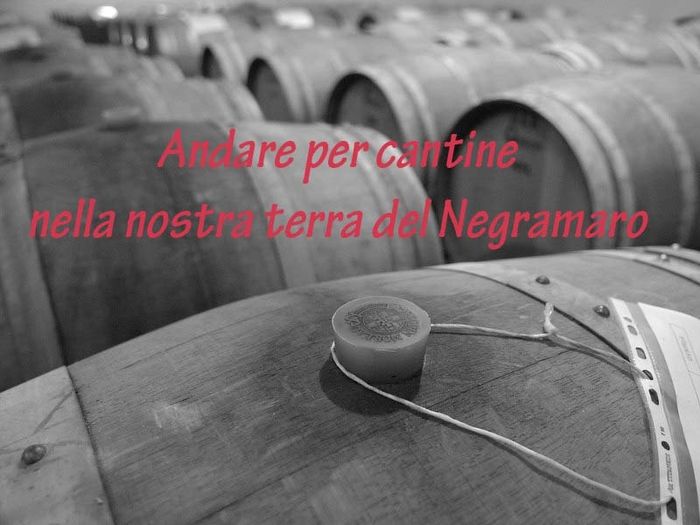 Spose in puglia 2013 - 2014 - 7
