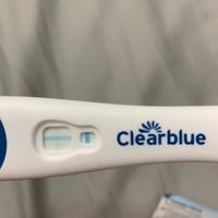 Chi non le aspetta per ottobre 2019 - 1