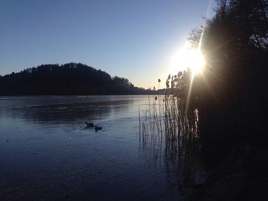 Location... amore a prima vista! 7