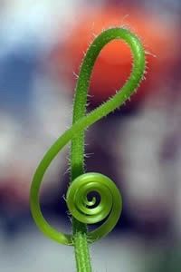 Nomi tavoli, tema, colore - 4